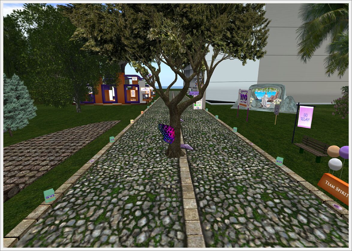 Relay For Life 2013  (28)